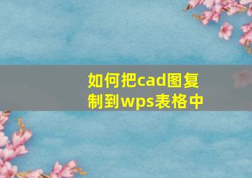 如何把cad图复制到wps表格中