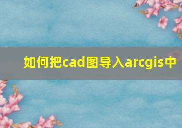 如何把cad图导入arcgis中