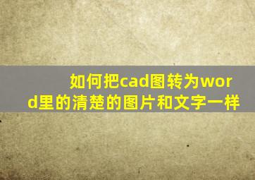 如何把cad图转为word里的清楚的图片和文字一样