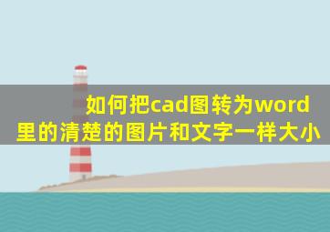 如何把cad图转为word里的清楚的图片和文字一样大小