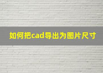 如何把cad导出为图片尺寸