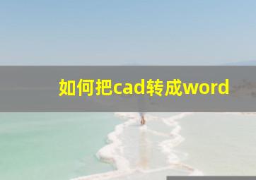 如何把cad转成word