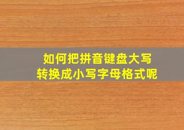 如何把拼音键盘大写转换成小写字母格式呢