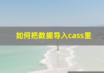 如何把数据导入cass里