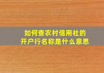 如何查农村信用社的开户行名称是什么意思