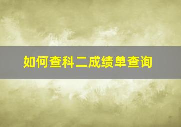 如何查科二成绩单查询