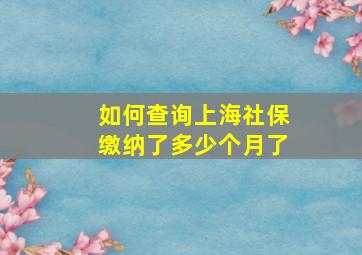 如何查询上海社保缴纳了多少个月了