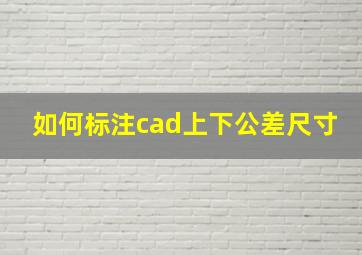 如何标注cad上下公差尺寸