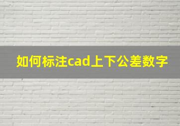 如何标注cad上下公差数字