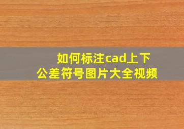 如何标注cad上下公差符号图片大全视频