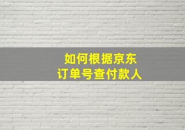 如何根据京东订单号查付款人