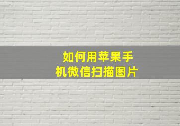 如何用苹果手机微信扫描图片