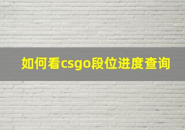 如何看csgo段位进度查询