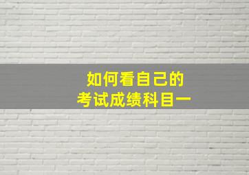 如何看自己的考试成绩科目一