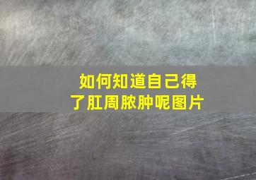 如何知道自己得了肛周脓肿呢图片