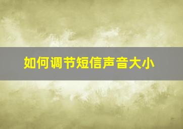 如何调节短信声音大小