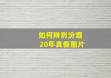 如何辨别汾酒20年真假图片