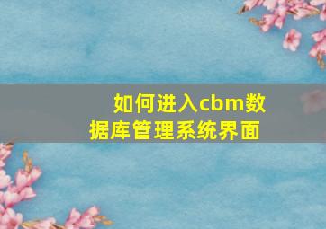 如何进入cbm数据库管理系统界面