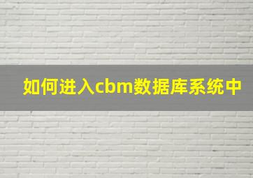 如何进入cbm数据库系统中