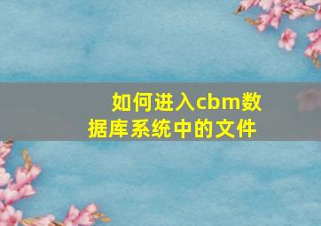 如何进入cbm数据库系统中的文件