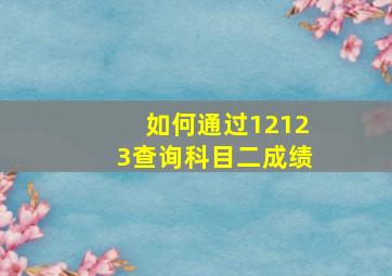 如何通过12123查询科目二成绩