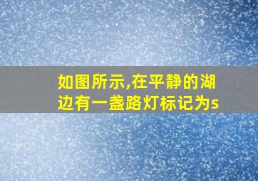 如图所示,在平静的湖边有一盏路灯标记为s