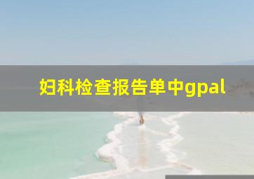 妇科检查报告单中gpal