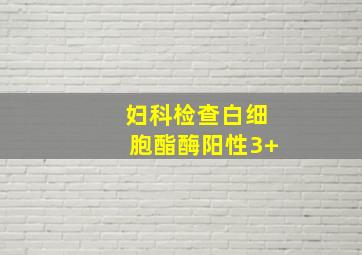 妇科检查白细胞酯酶阳性3+