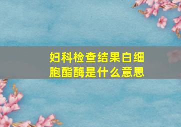 妇科检查结果白细胞酯酶是什么意思