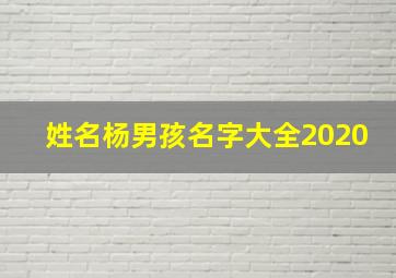 姓名杨男孩名字大全2020