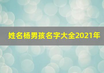 姓名杨男孩名字大全2021年