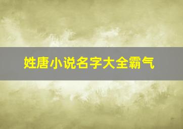 姓唐小说名字大全霸气