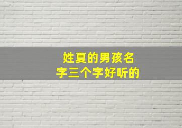 姓夏的男孩名字三个字好听的