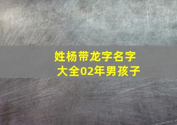 姓杨带龙字名字大全02年男孩子