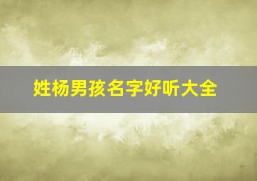 姓杨男孩名字好听大全