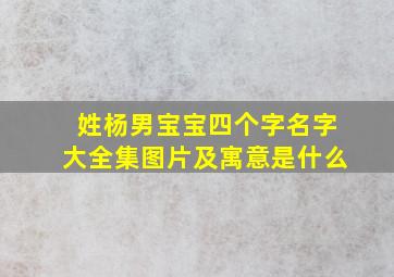 姓杨男宝宝四个字名字大全集图片及寓意是什么