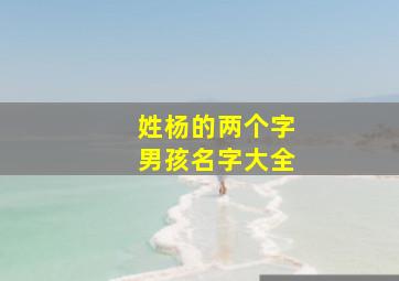 姓杨的两个字男孩名字大全