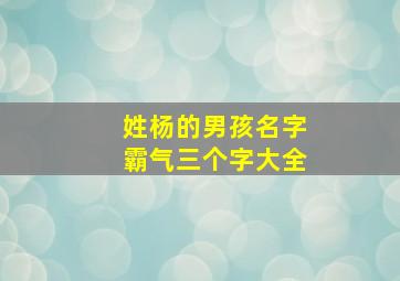 姓杨的男孩名字霸气三个字大全