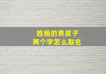 姓杨的男孩子两个字怎么取名