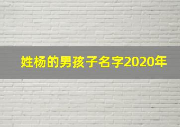 姓杨的男孩子名字2020年