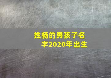 姓杨的男孩子名字2020年出生