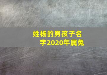 姓杨的男孩子名字2020年属兔