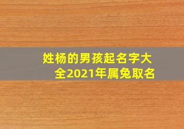 姓杨的男孩起名字大全2021年属兔取名