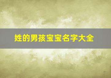 姓的男孩宝宝名字大全