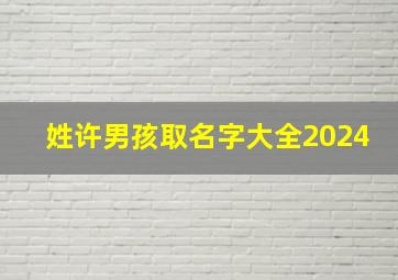 姓许男孩取名字大全2024