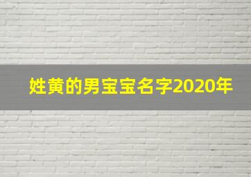 姓黄的男宝宝名字2020年