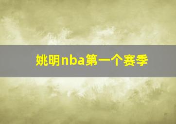 姚明nba第一个赛季