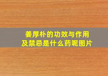 姜厚朴的功效与作用及禁忌是什么药呢图片