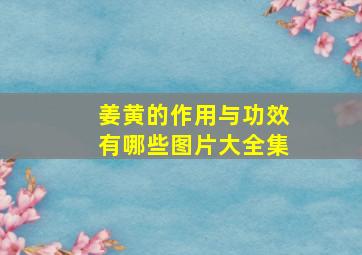 姜黄的作用与功效有哪些图片大全集