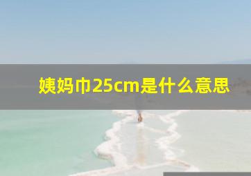 姨妈巾25cm是什么意思